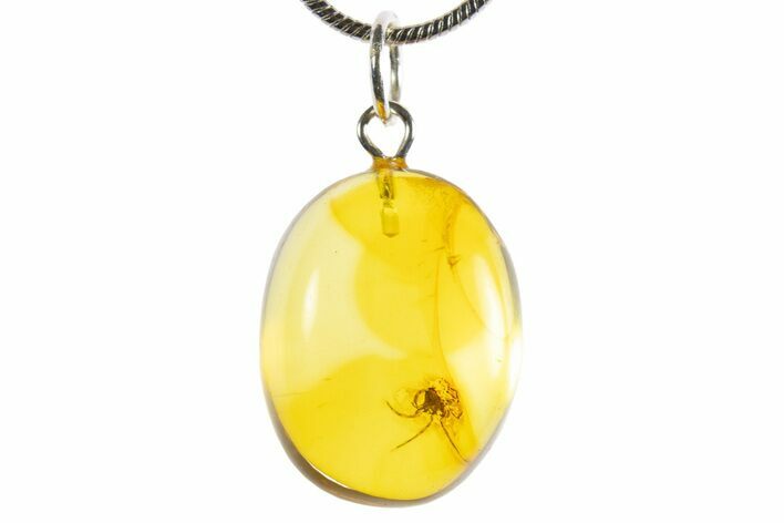 Polished Baltic Amber Pendant (Necklace) - Contains Spider! #339539